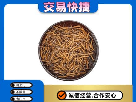 商丘虞城县回收散虫草